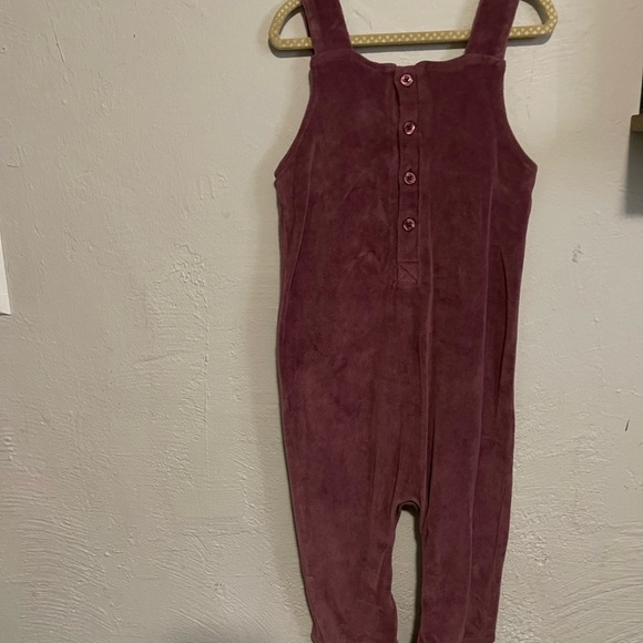 Kate Quinn Velvet Jumpsuit - Picture 5 of 5